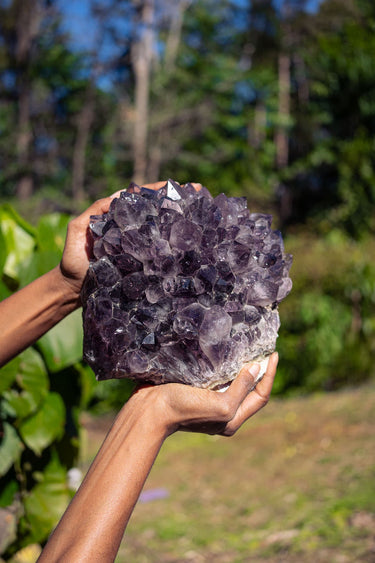 Amethyst Rosette